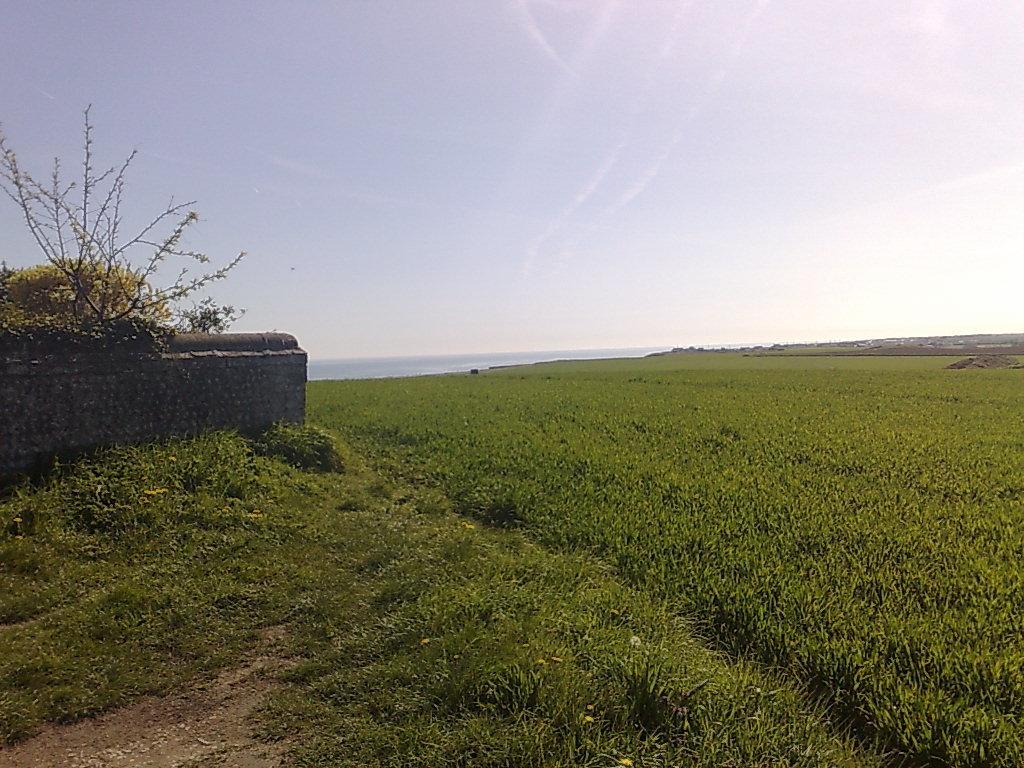 Seaview Cottage Bacton  Extérieur photo
